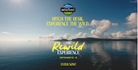 Nature-Connected Lifestyle Campaigns