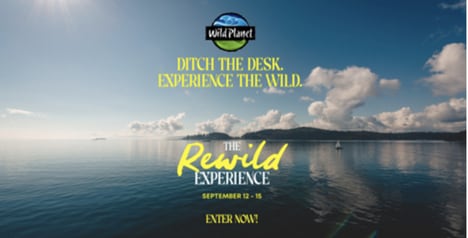 Nature-Connected Lifestyle Campaigns