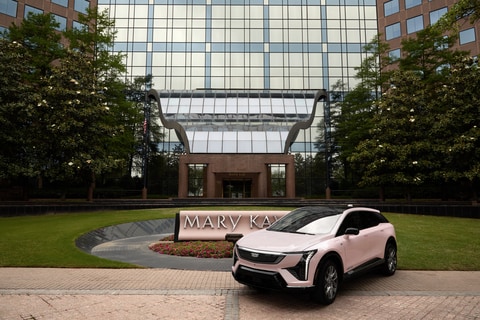 All-Pink Electric Vehicles