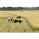Sustainable Rice Farming Initiatives Image 1
