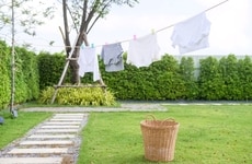 Conscious Laundry Fragrances