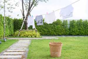 Conscious Laundry Fragrances Article Thubnail