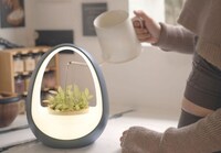 Water-Powered Planter Smart Lights