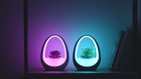Water-Powered Planter Smart Lights Image 2