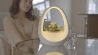 Water-Powered Planter Smart Lights Image 4