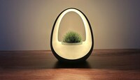 Water-Powered Planter Smart Lights Image 5