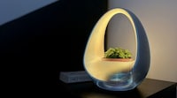 Water-Powered Planter Smart Lights Image 8
