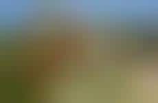 Modern Prefabricated Residential Projects