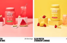 Flavorful Clear Protein Brands