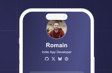 Developer Portfolio Hubs