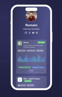 Developer Portfolio Hubs