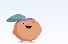 Wellness Tracking Platforms