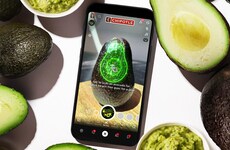 Interactive AR Avocado Scans