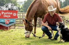 Inclusive Pet Promotion Campaigns