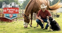 Inclusive Pet Promotion Campaigns