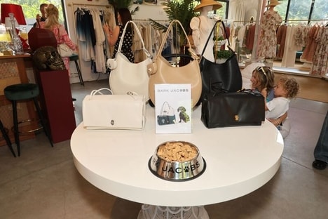 Custom Painted Handbag Events