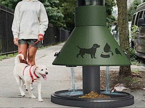 Urban Pet Hydration Stations