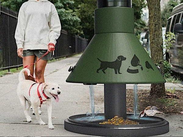 Urban Pet Hydration Stations