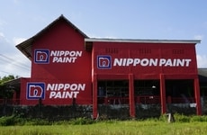 Cricket Paint Partnerships