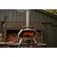 Triple-Fuel Outdoor Pizza Ovens Image 1