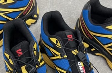 Collaborative Trail Shoes
