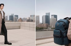 Chinese Actor-Supported Luggage Brands