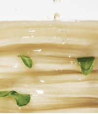Affordable Hyaluronic Acid Pads Image 2