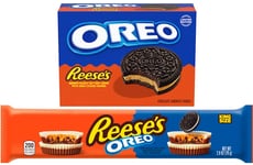 Hybrid Nutty Chocolate Treats