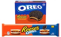 Hybrid Nutty Chocolate Treats