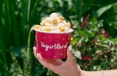 Senior Series Frozen Yogurts