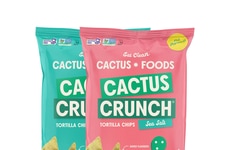 Crunchy Cactus Chips