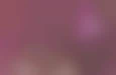 Co-Branded Feminine Fashion