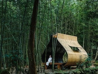 Forest Bamboo Cabins