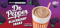 Exclusive Flavorful Soda Shakes Image 1