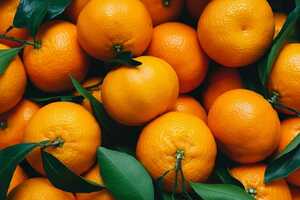 Orange Peel Repurposing Projects Article Thubnail