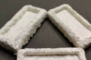 Fungi-Derived Packaging Innovations Article Thubnail