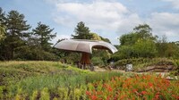 Mushroom-Like Wooden Pavilions Image 2