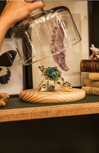 Nature-Inspired Jewelry Collabs Image 6