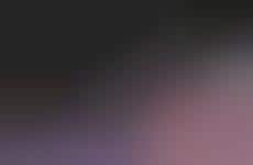 Artistically Expressive Multi-Brand Stores