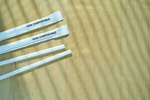 Plastic-Free Park Solutions Article Thubnail