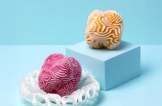 Computational Undersea-Inspired Soaps