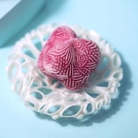 Computational Undersea-Inspired Soaps Image 2