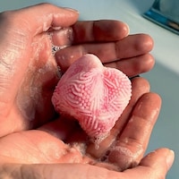 Computational Undersea-Inspired Soaps Image 3