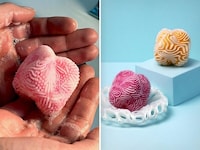 Computational Undersea-Inspired Soaps Image 5