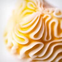 Computational Undersea-Inspired Soaps Image 6