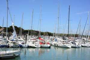 Sustainable Fishing Tourism Efforts Article Thubnail