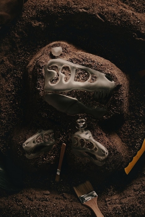 Dinosaur Fossil-Themed Bong Designs