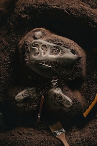 Dinosaur Fossil-Themed Bong Designs