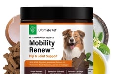 Mobility-Focused Pet Health Supplements