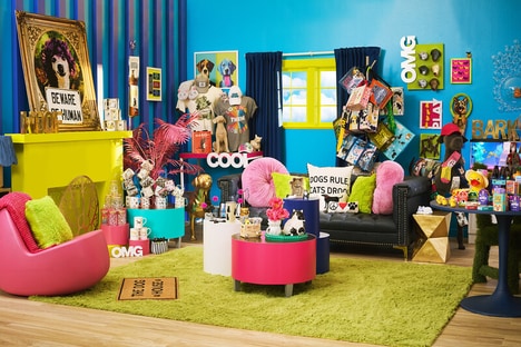 Human-Centric Pet Retail Experiences